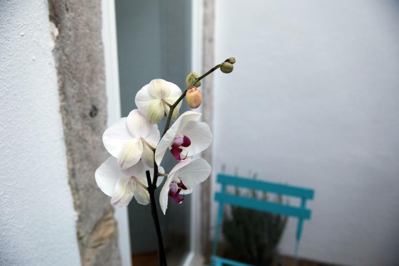 Santo Amaro'S House Apartment Lisabona Exterior foto
